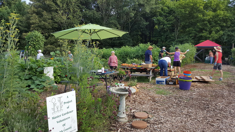 How to start a Plant a Row for the Hungry Community Garden