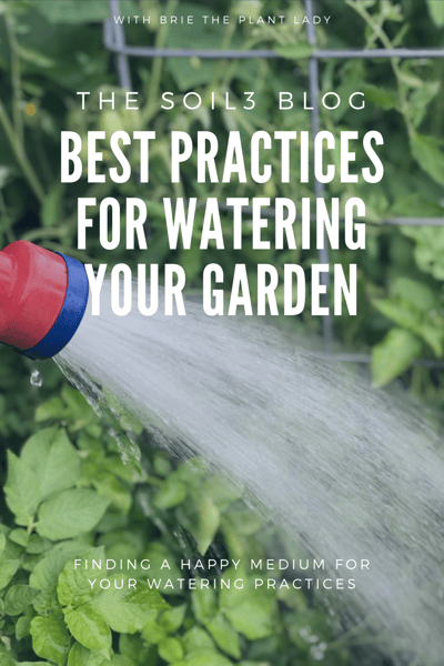 BEST WATERING PRACTICES2