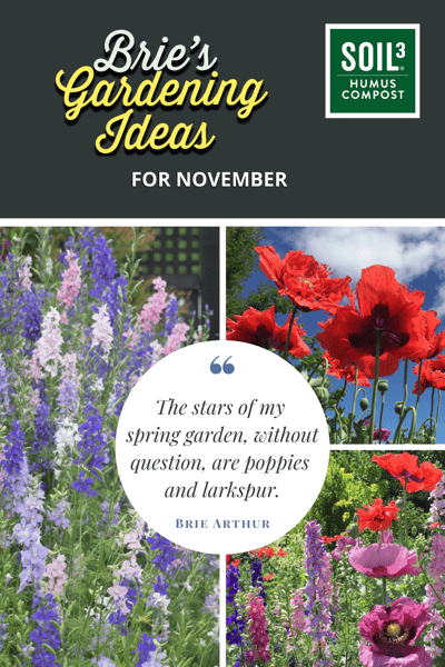 Brie November Gardening Ideas Pinnable