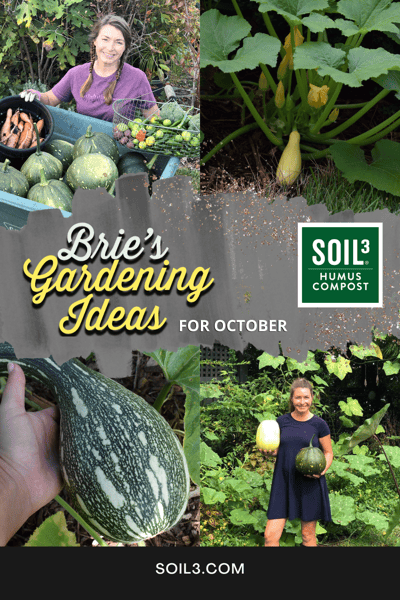 Brie October Garden Ideas Pin