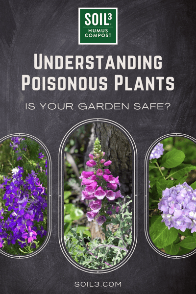 Brie Poisonous Plants Pinnable Cover image