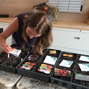 Plant Like a Pro with Brie's Veggie Garden Planting Calendar