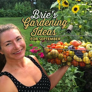 Brie's Gardening Ideas for September