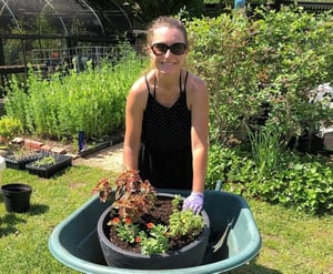 Summer Container Planting in Soil3