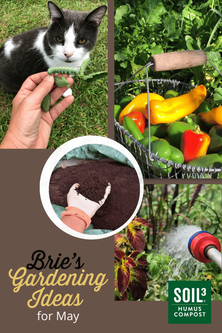 Bries Gardening Ideas For May