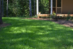 Seeding a New Lawn with Soil3 [video]