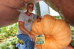 Growing a Giant Pumpkin on a Scale with Danny Vester [Video]