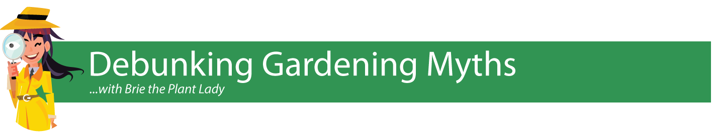 Debunking-Gardening-Myths