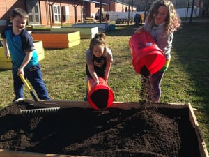 How to Start a School Garden on a Tight Budget