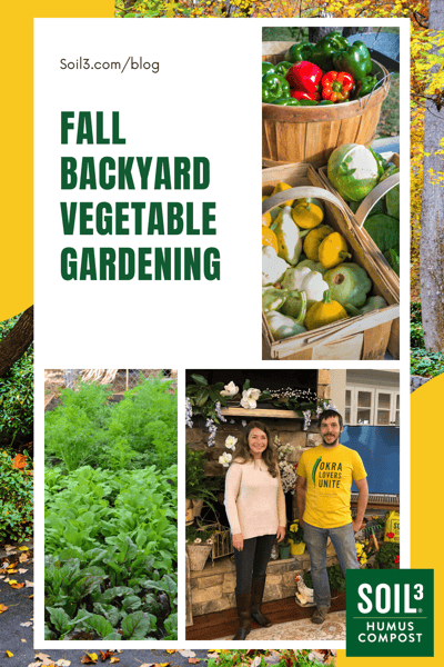 Fall Backyard Vegetable Gardening