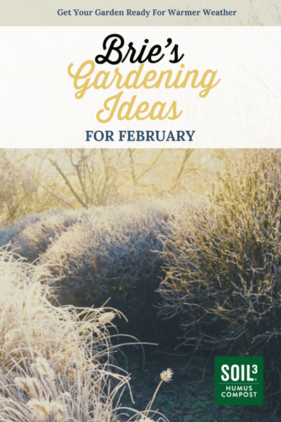 Brie's Gardening Ideas for February