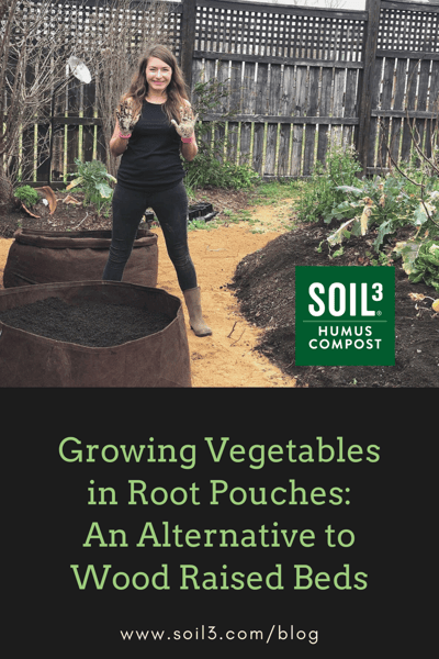 Growing Vegetables in Root Pouches_ An Alternative to Wood Raised Beds