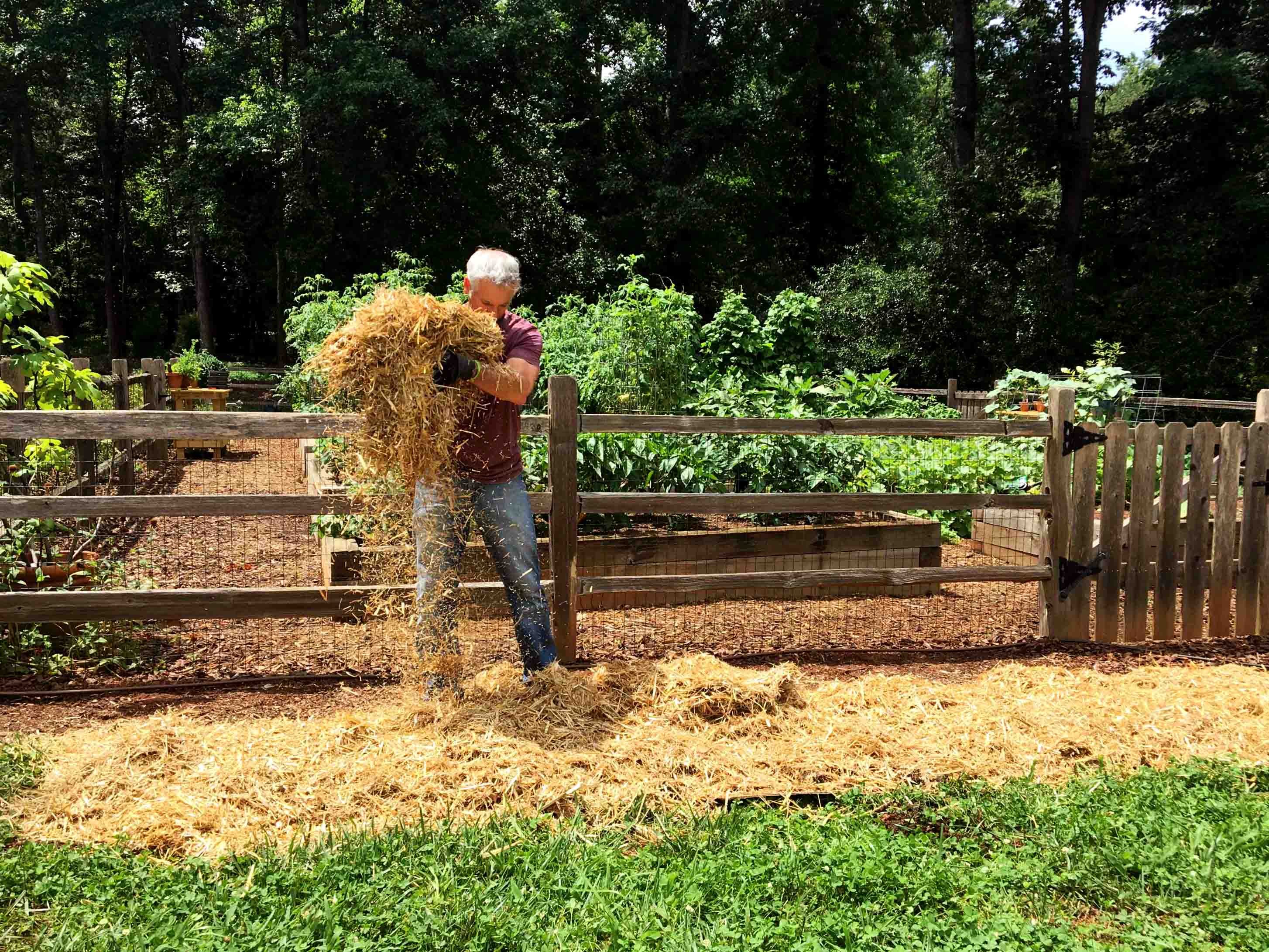 stray layer in no-till gardening