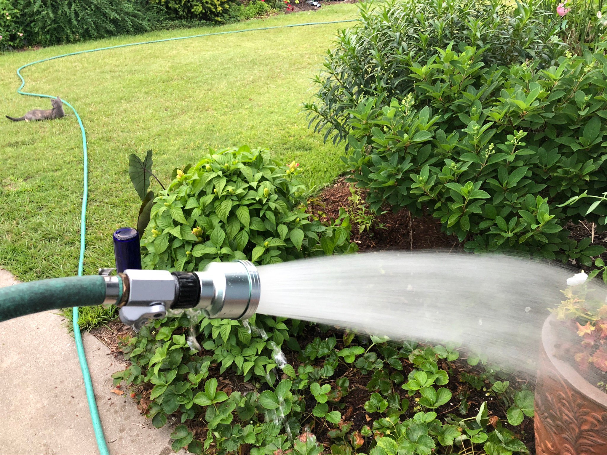 Hand watering container with rain wand