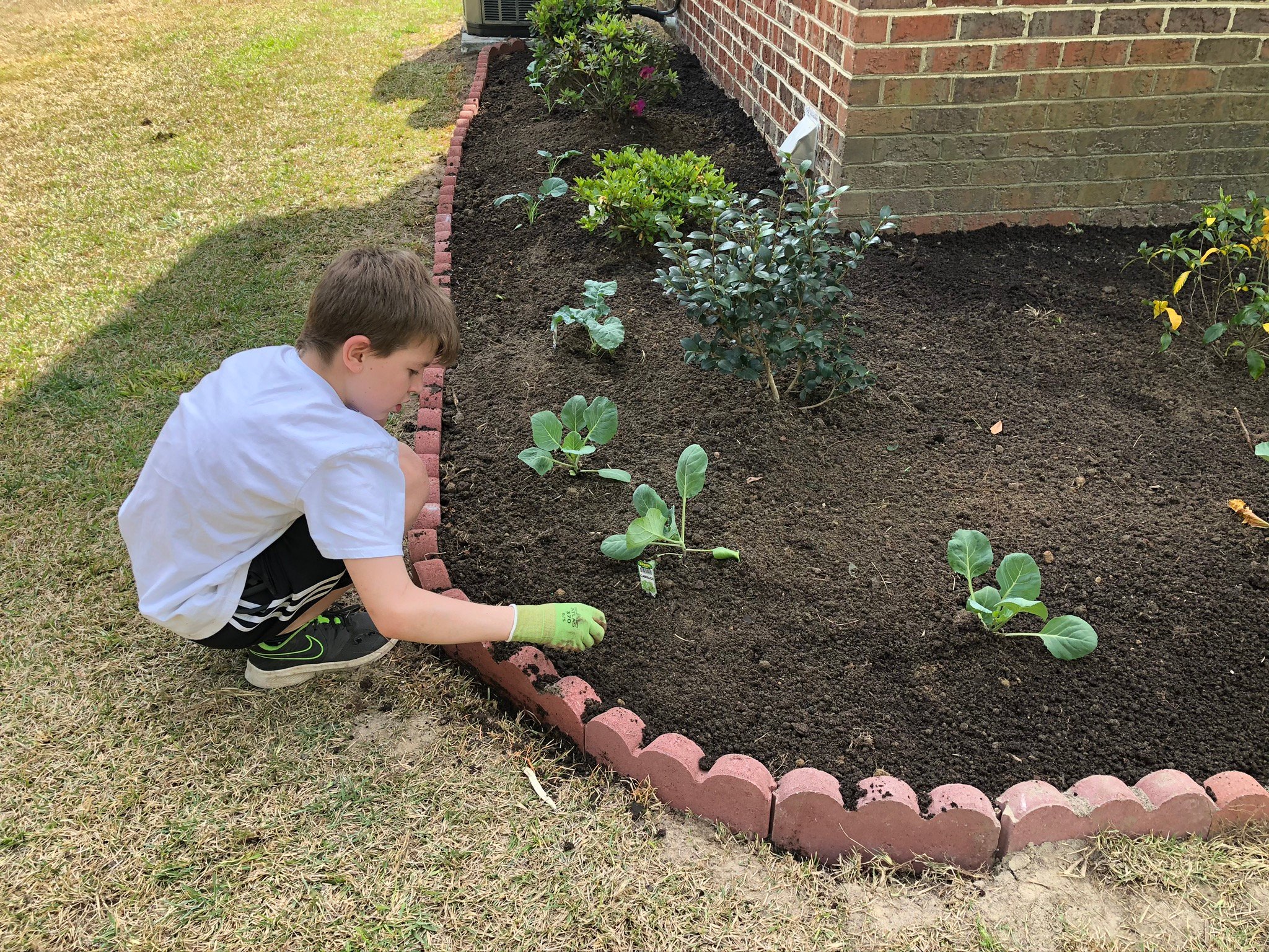 Aidan planting cover crop seeds