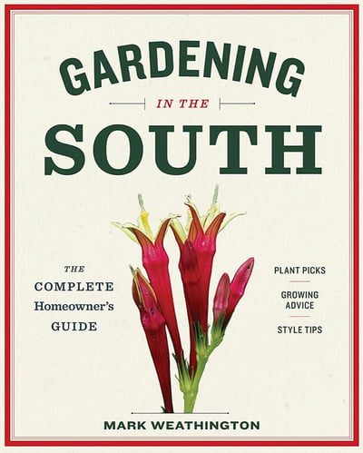 Gardening In The South