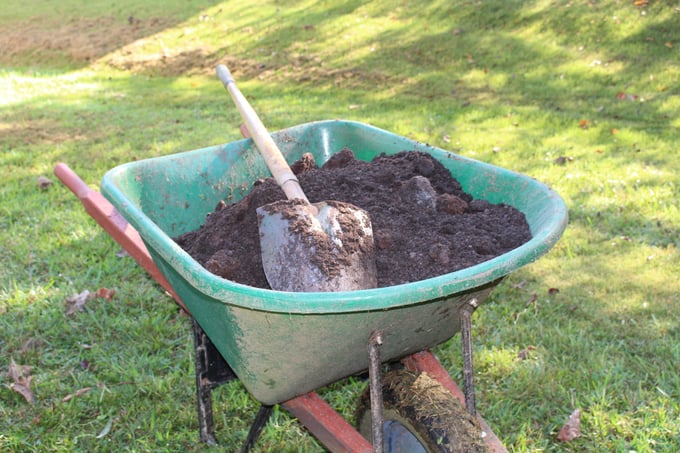 Ready to plant with a wheelbarrow full of Soil3