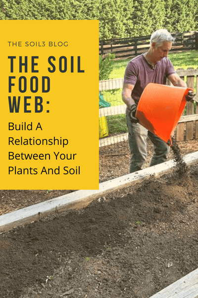 Soil3 And The Soil Food Web