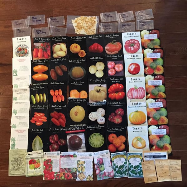 2016 tomato seed by Brie Arthur