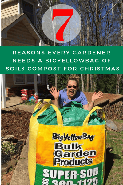 7 reasons every gardener needs a bigyellowbag for christmas