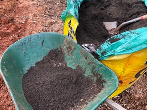 Potting Soil for Trees & Tree Fertilizer