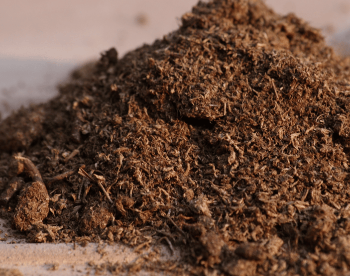 Peat moss potting soil