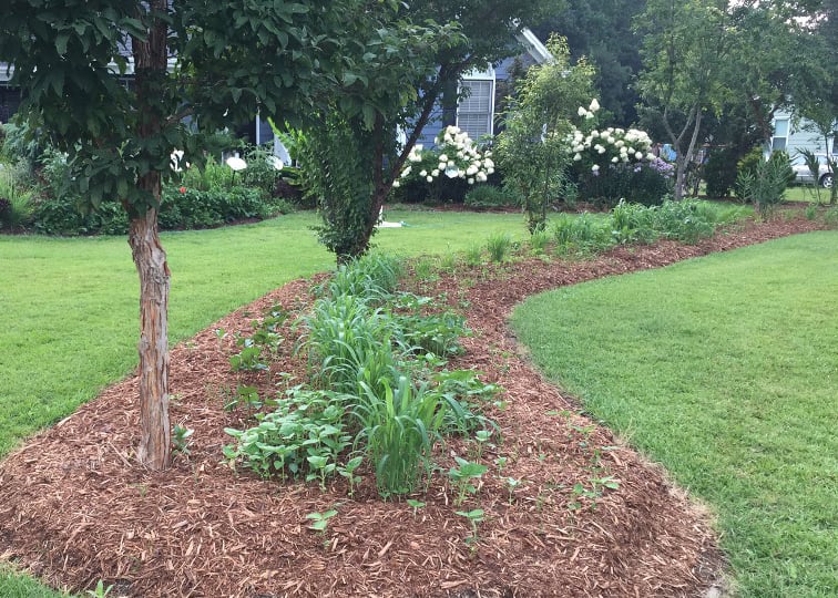 how to fix soil mulch your beds