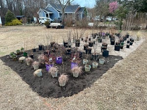 Building a Native Plant Garden from Scratch - Part 2: Trees & Shrubs