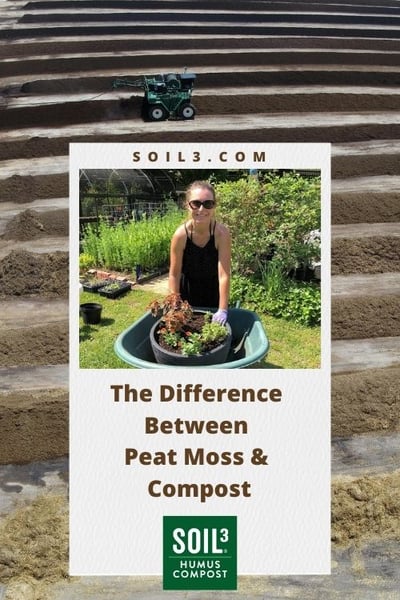 Difference Between Peat Moss & Compost