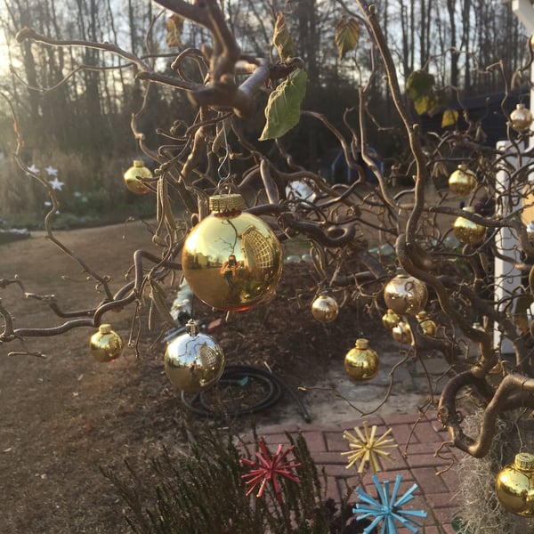 Harry Lauder’s Walking Stick decorated for the holidays