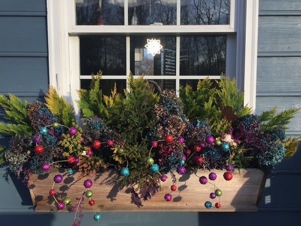 colorful holiday window box with conifers