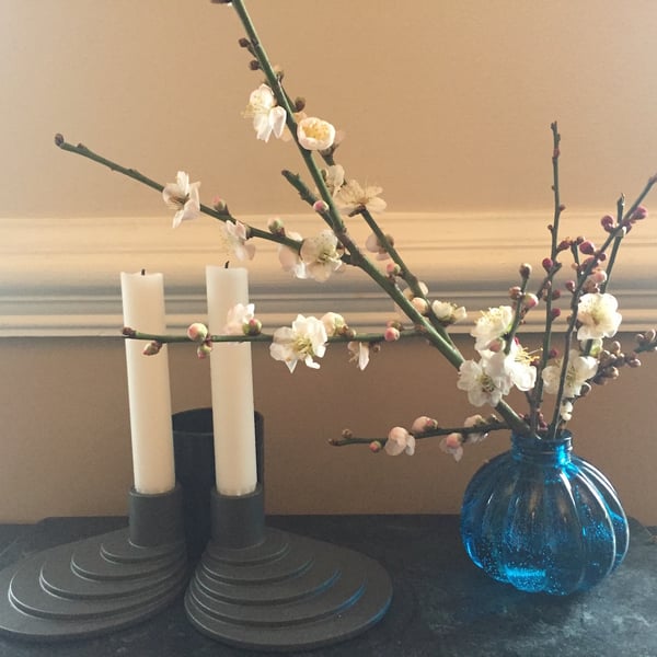 white flowering apricot decoration