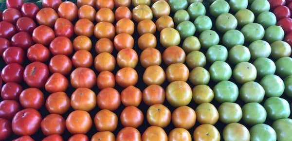 Heirloom Tomatoes APPEARANCE IMAGE