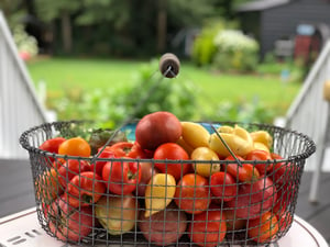 I’m Dreaming of Heirloom Tomatoes