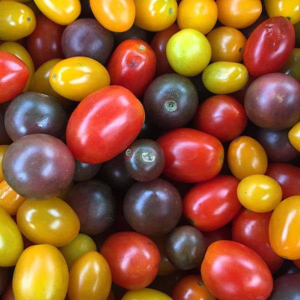 cherry tomatoes