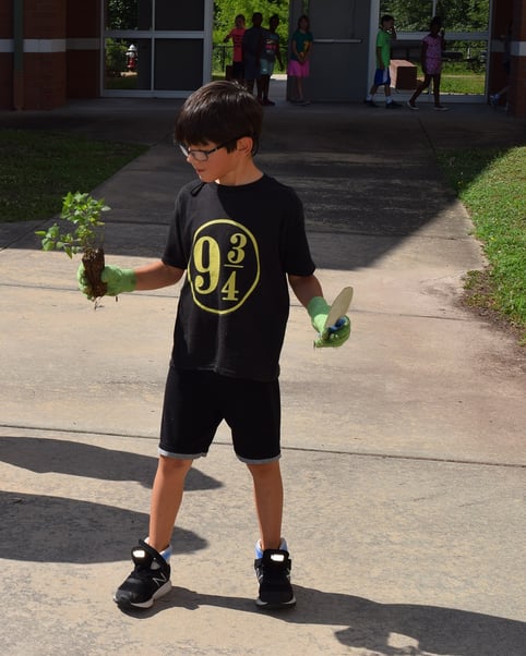 boy planting a school garden
