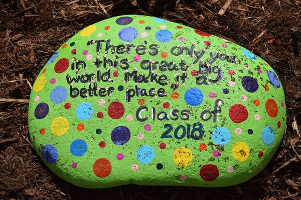 class painted rock for school garden
