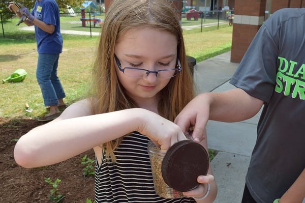 direct seeding in school garden