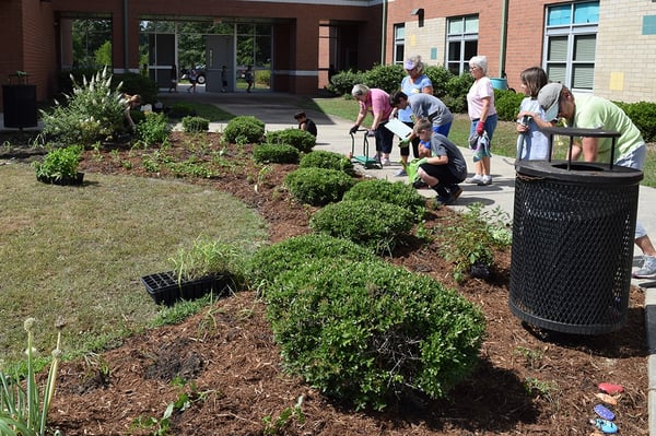 planning a school garden in landscaped areas