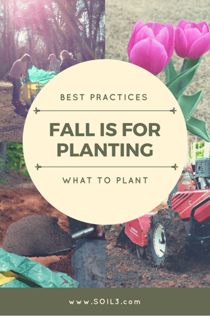 Fall is for Planting.png