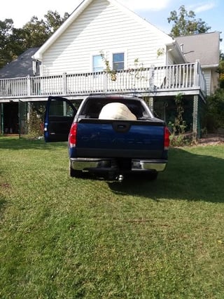 giant pumpkin loaded in a pickup on the way to festival.jpg