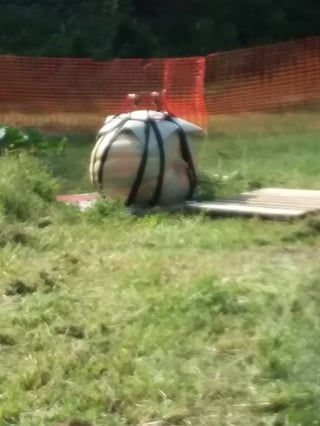 giant pumpkin loading with a harness.jpg