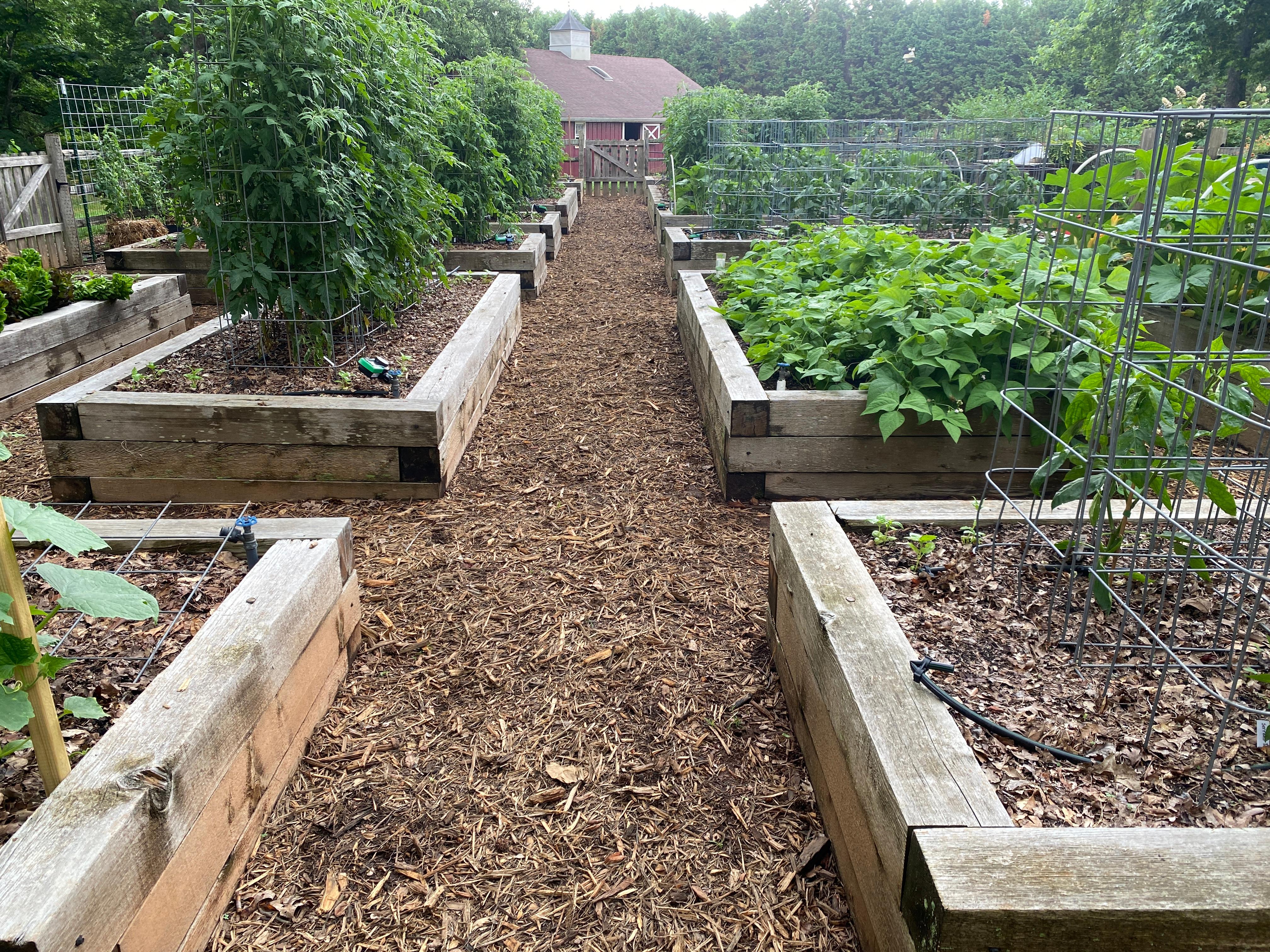 Crop Rotation in Joe Lampls garden farm1