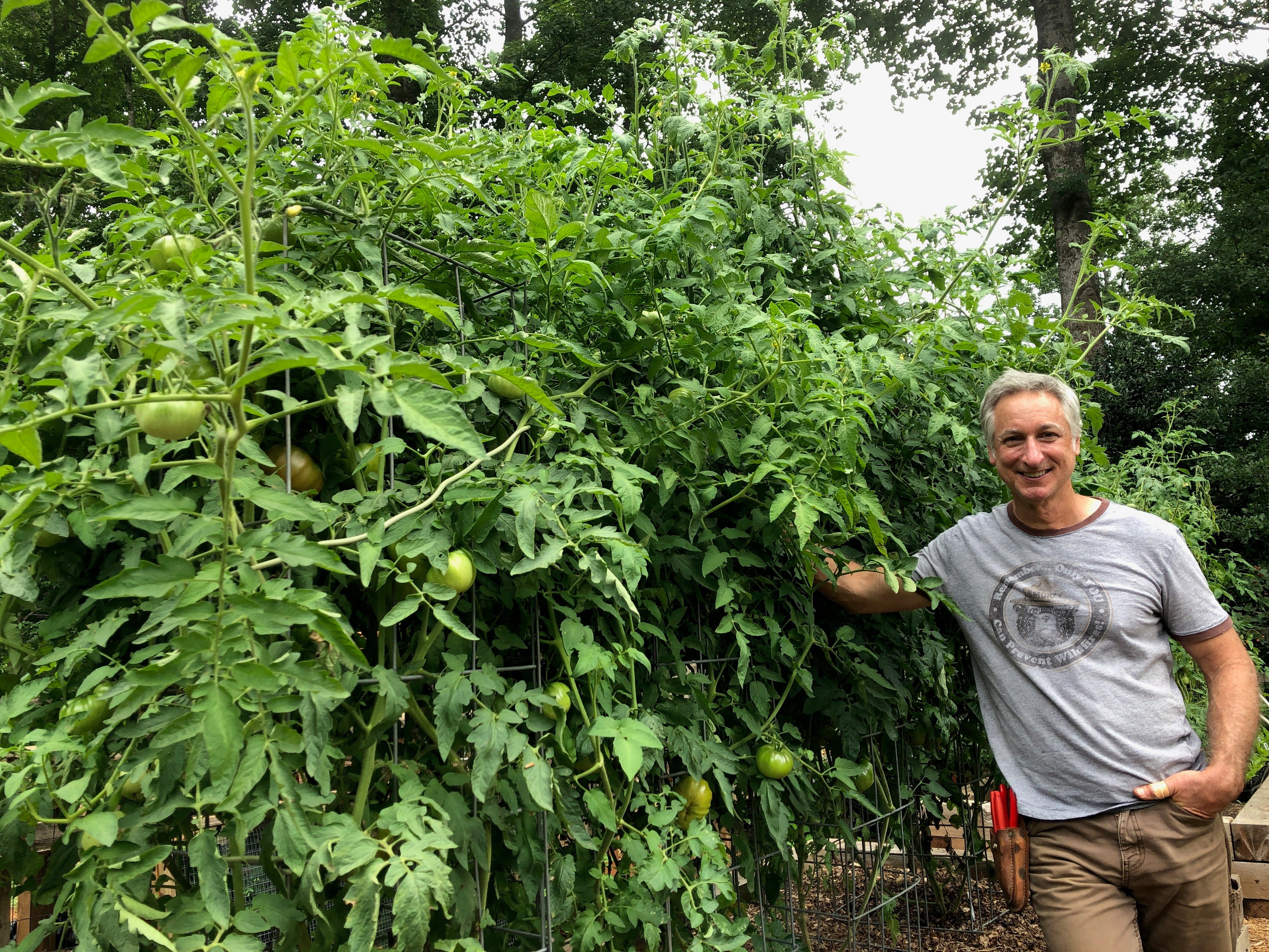 Crop Rotation in Joe Lampls garden farm2