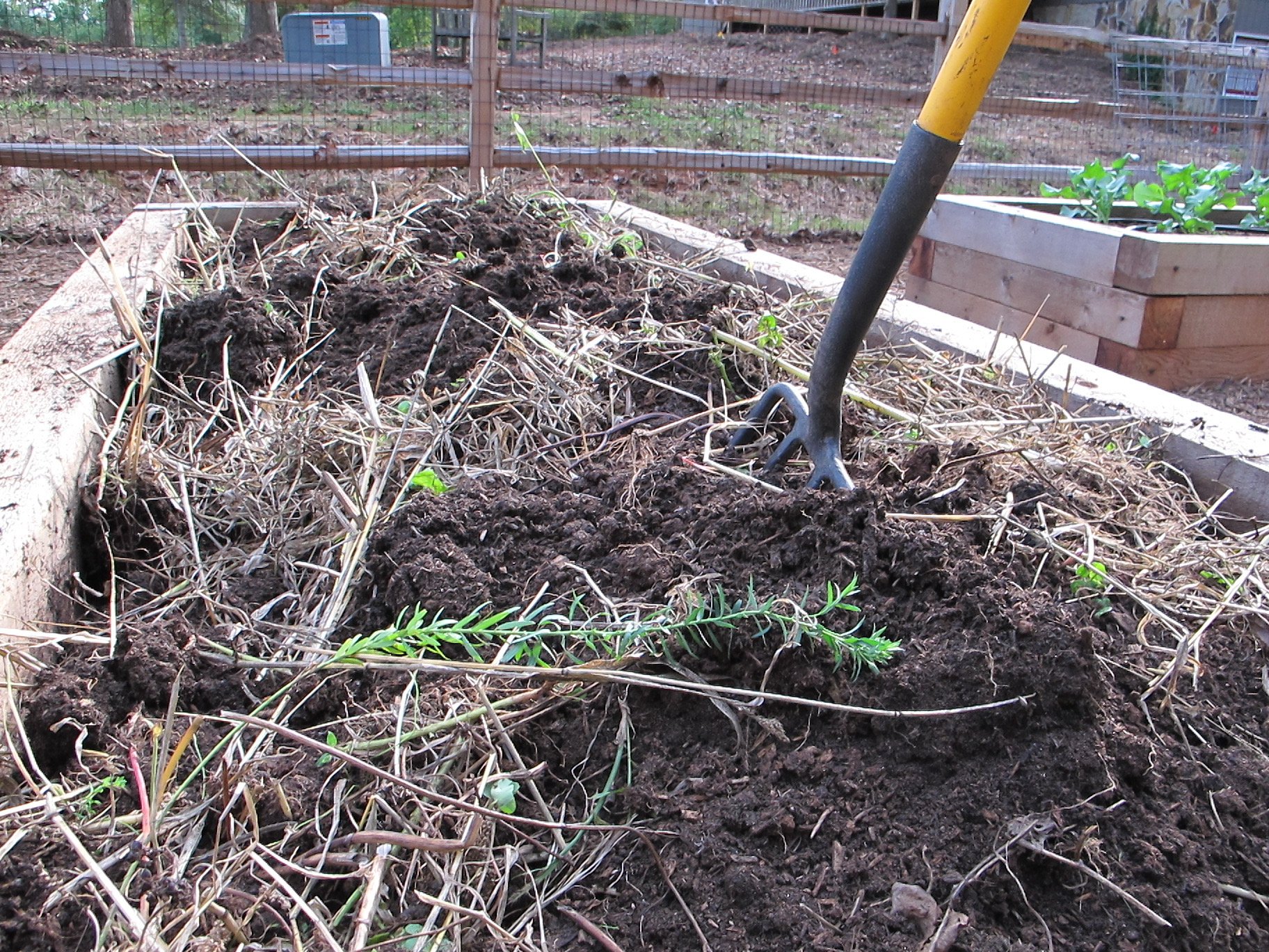 Cover Crops in Beds from Joe Lampl-4