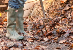 Using Fall Leaves in the Garden