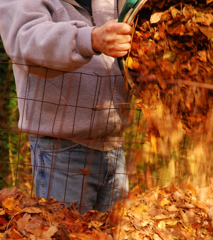 Joe Lampl adding fall leaves to his leaf corral