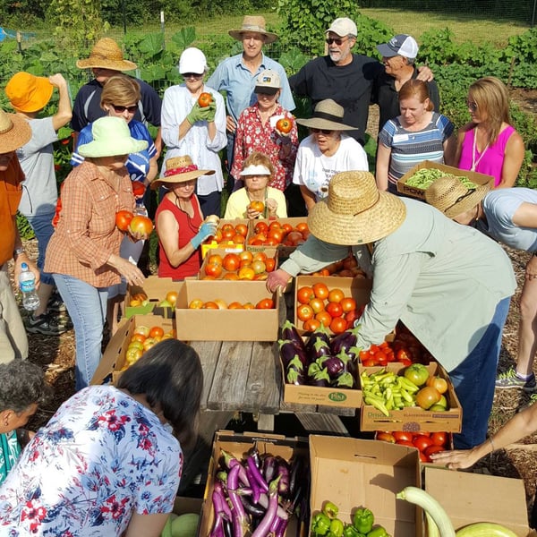 MGVCC master gardener plant a row for the hungry