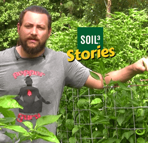 Soil3 Story: Pepper Guru Grows Thousands of Peppers with Soil3 [VIDEO]