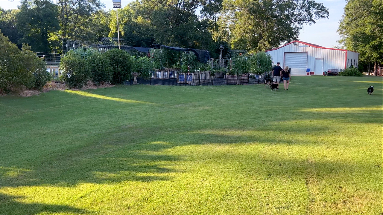 Parker Pastures Soil3 Stories overview with dogs